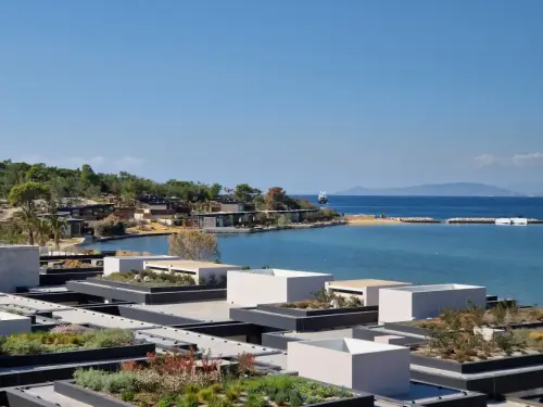 OneOnlyAesthesis Thelcon 5